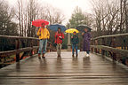 Gang on Old North Bridge