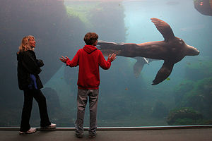 Michelle and Tommy at Alaskan Sea Life Center