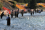 Combat fishing at the Confluence