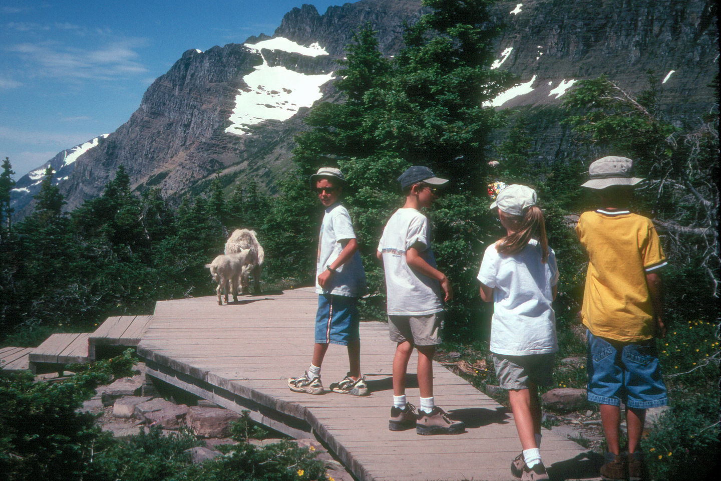 Kids hiking on Hidden Lake Trail