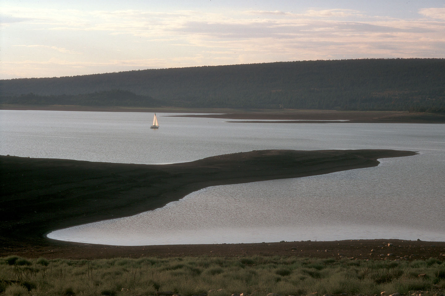 Lone neighbor sailing at dusk