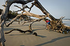 Andrew biking under tree on beach