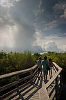 Anhinga Trail hikers with storm clouds
