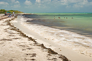 Sandspur Beach