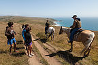 Horses on Tomales Point Trail