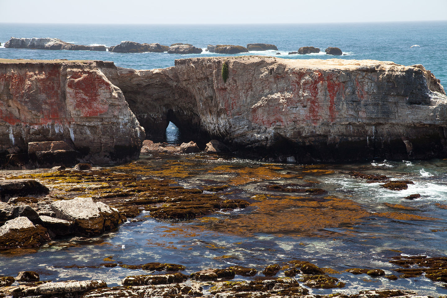 Point Arena Headlands