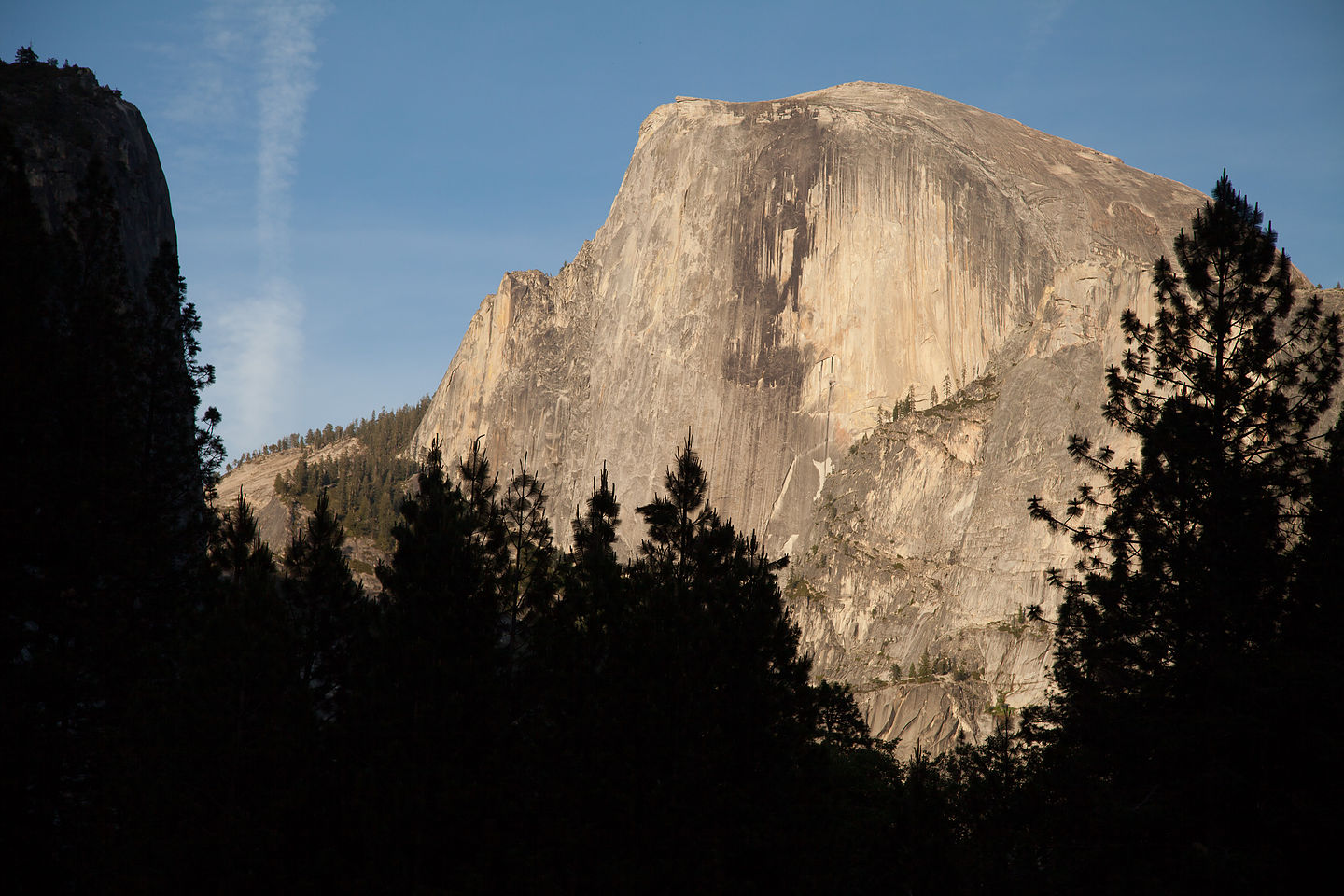 Half Dome from Ahwahnee Meadow