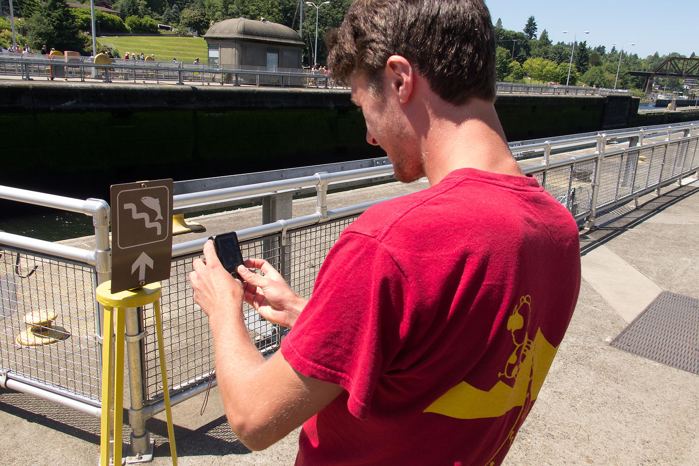 Tom Photographing Jumping Salmon Sign at Chittenden Locks