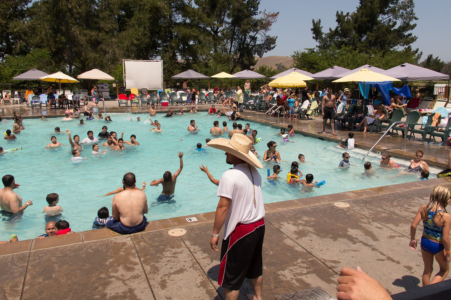 Petaluma KOA Pool Petaluma KOA Pool