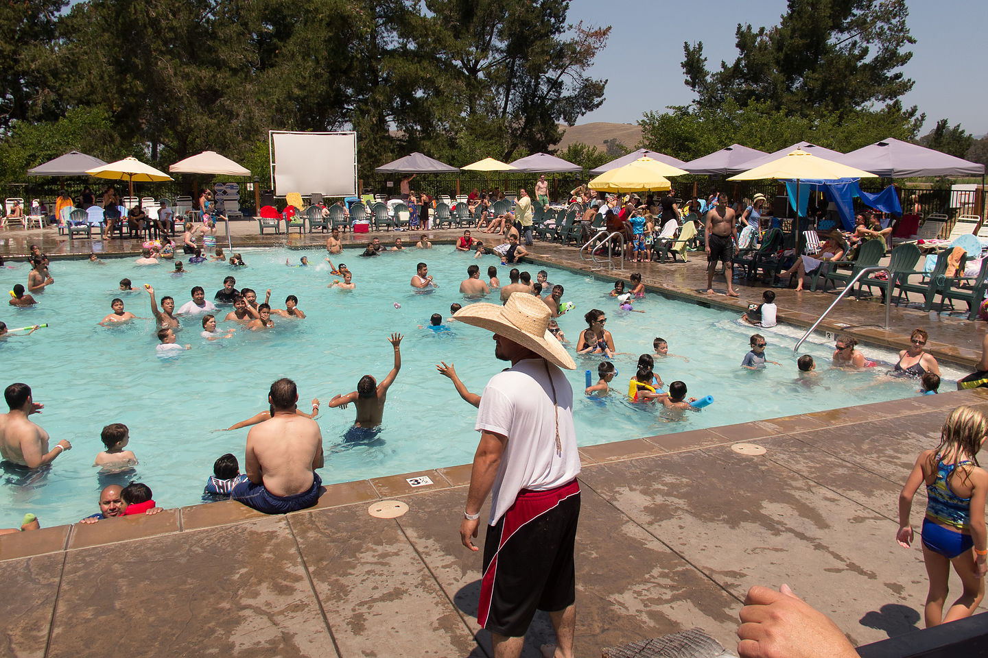 Petaluma KOA Pool