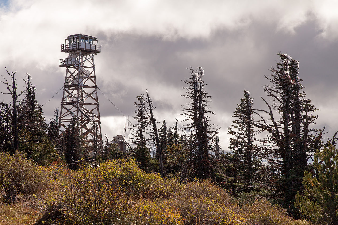 Black Butte Lookout Tower