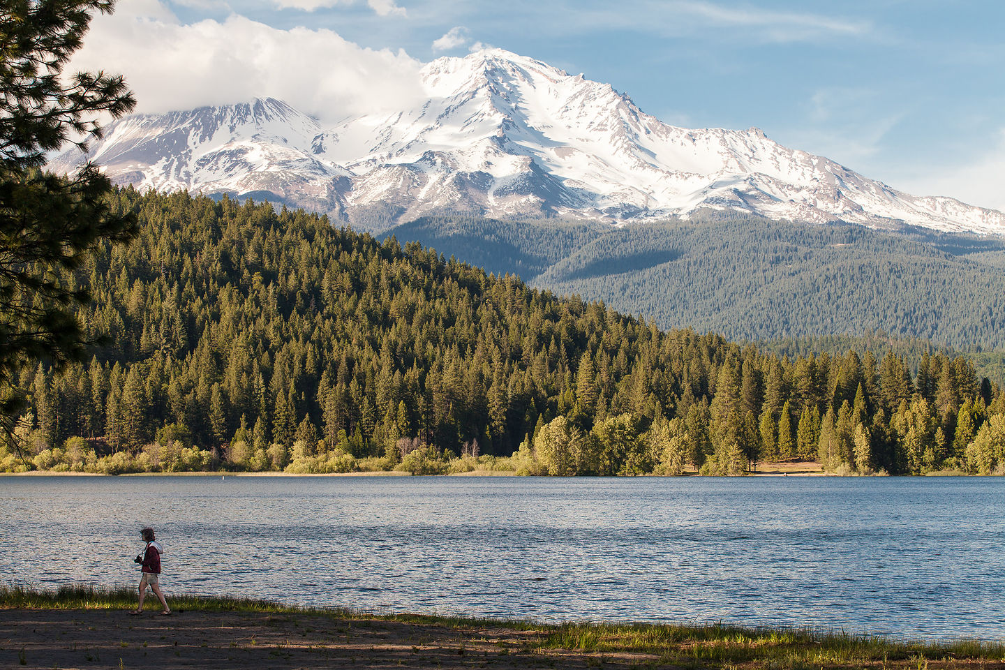Lolo on Lake Siskiyou Shore with Mount Shasta Lolo on Lake Siskiyou Shore with Mount Shasta