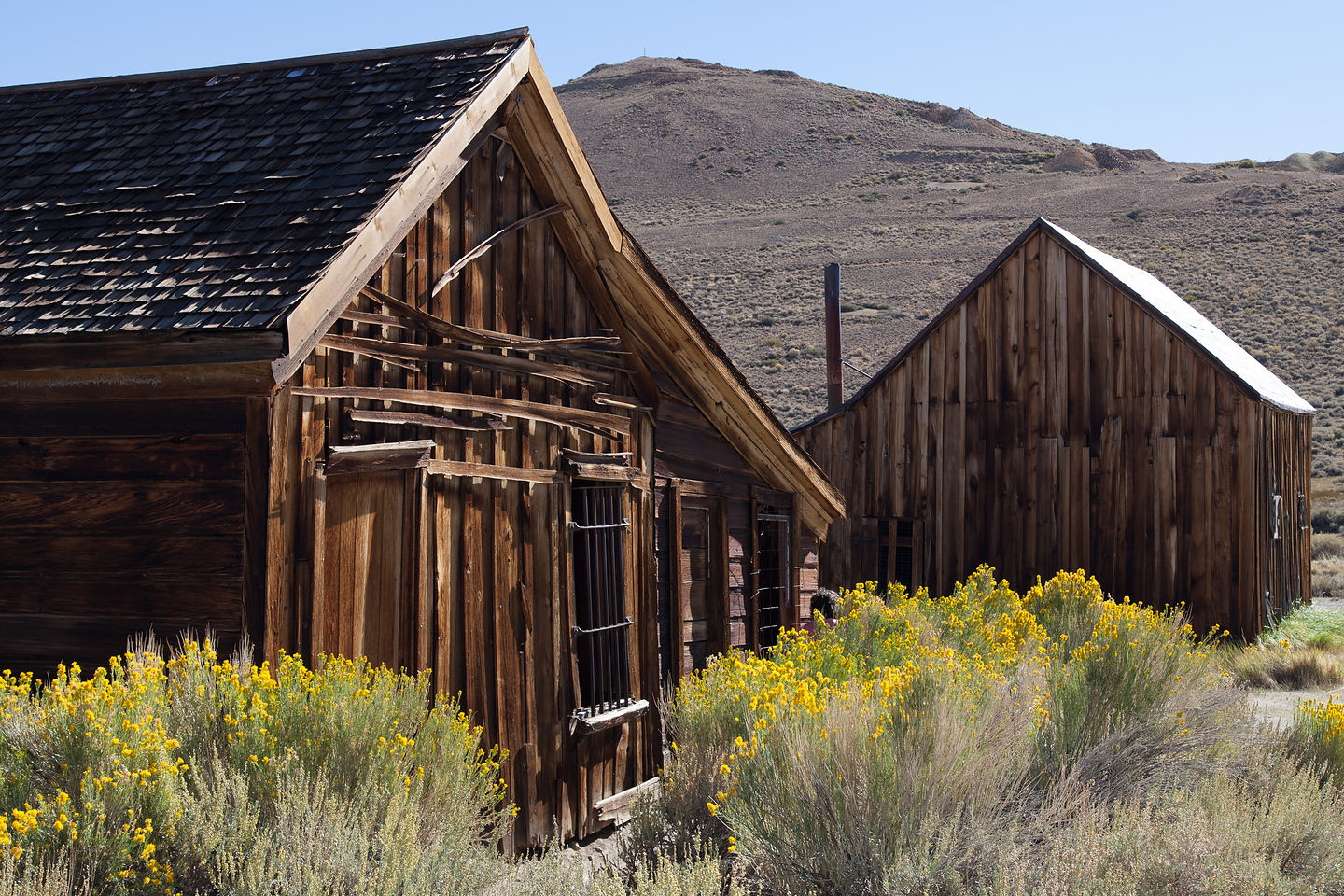 Bodie Buildings with Yellow Flowers