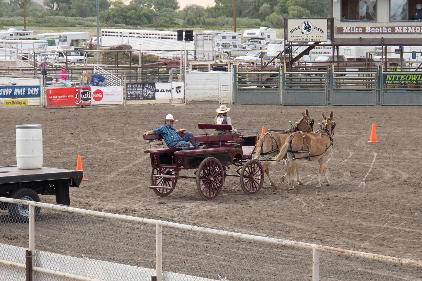 Mule Days Competition
