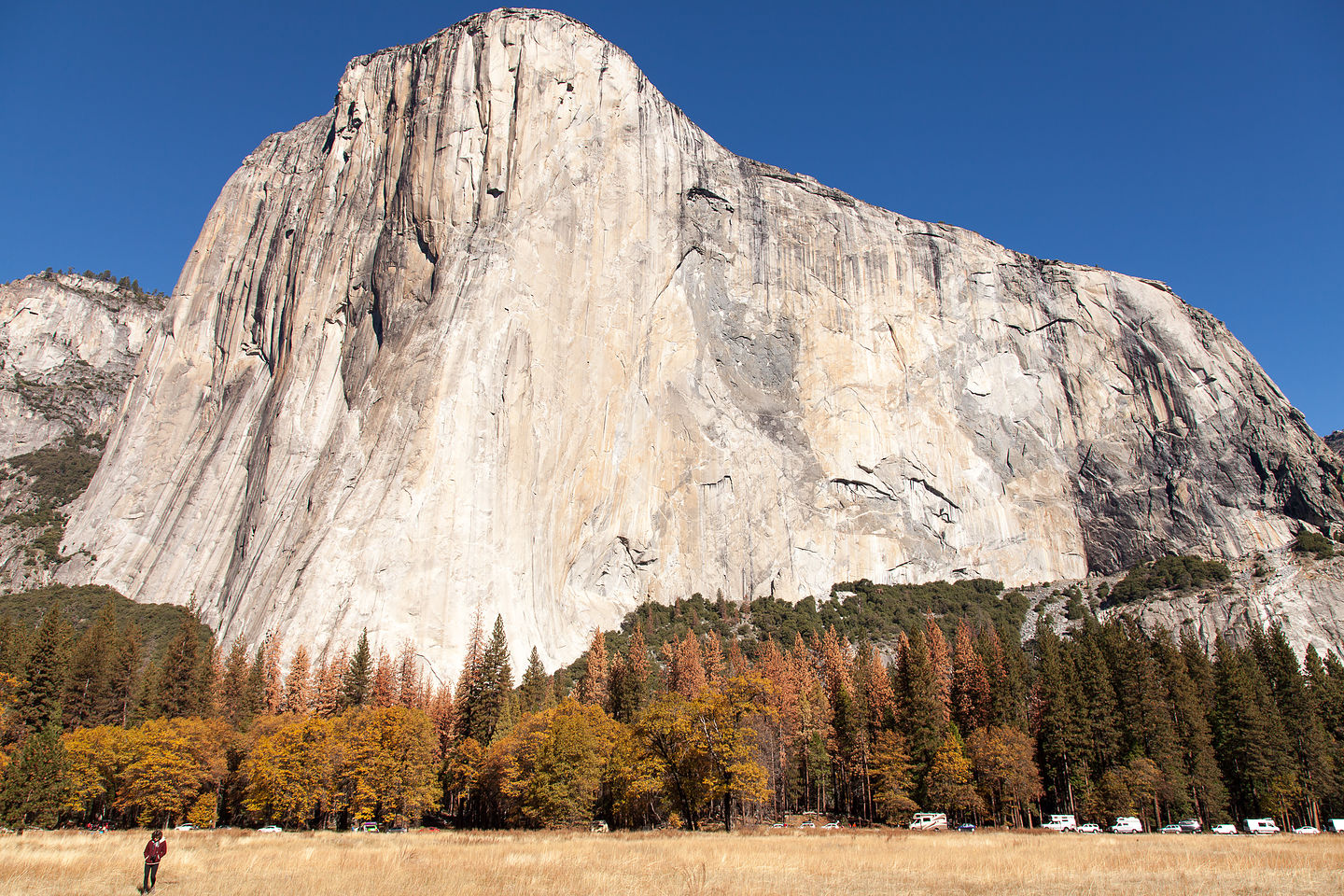 Lolo - Oh, and El Cap too