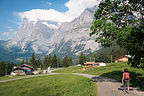 Hiking down to Grindelwald
