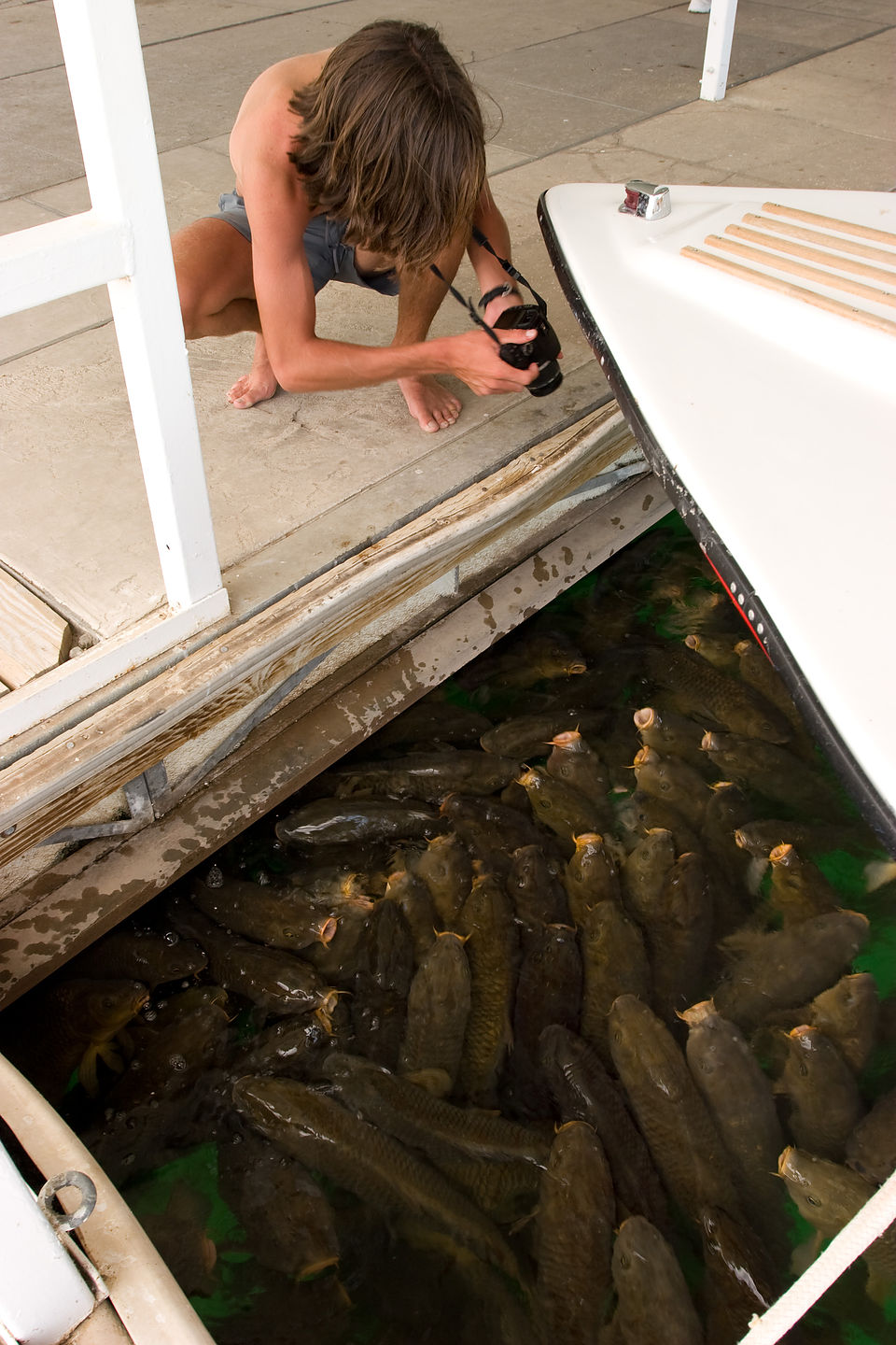 Andrew photographing Lake Mead carp