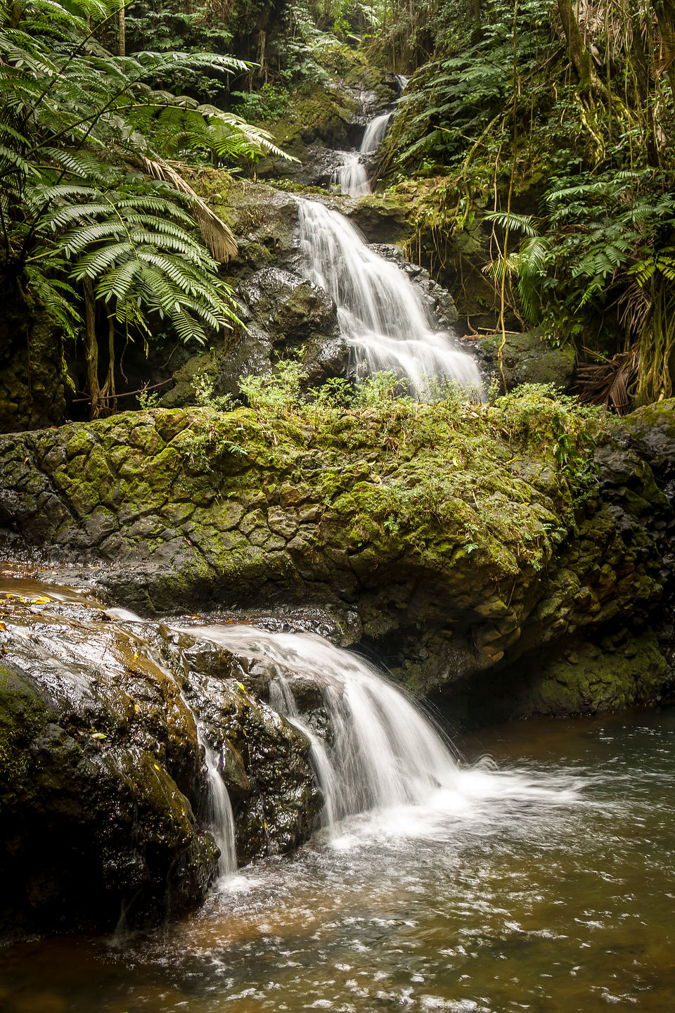 Waterfall in Hawaii Tropical Botanical Garden