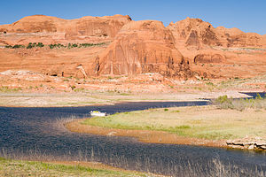 Our campsite in Chuckwalla Springs Cove