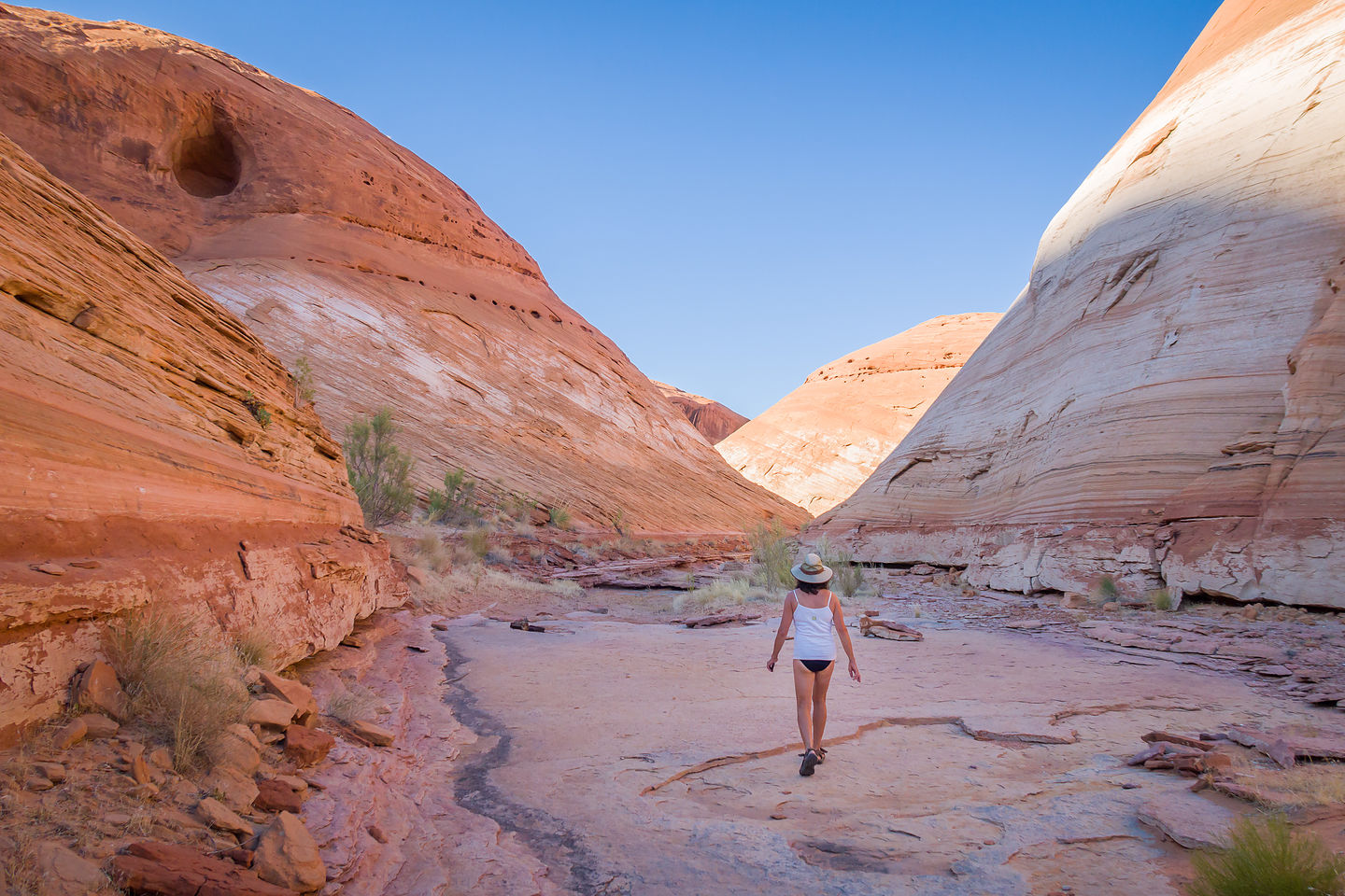 Lolo hiking up the Chuckwalla Springs wash