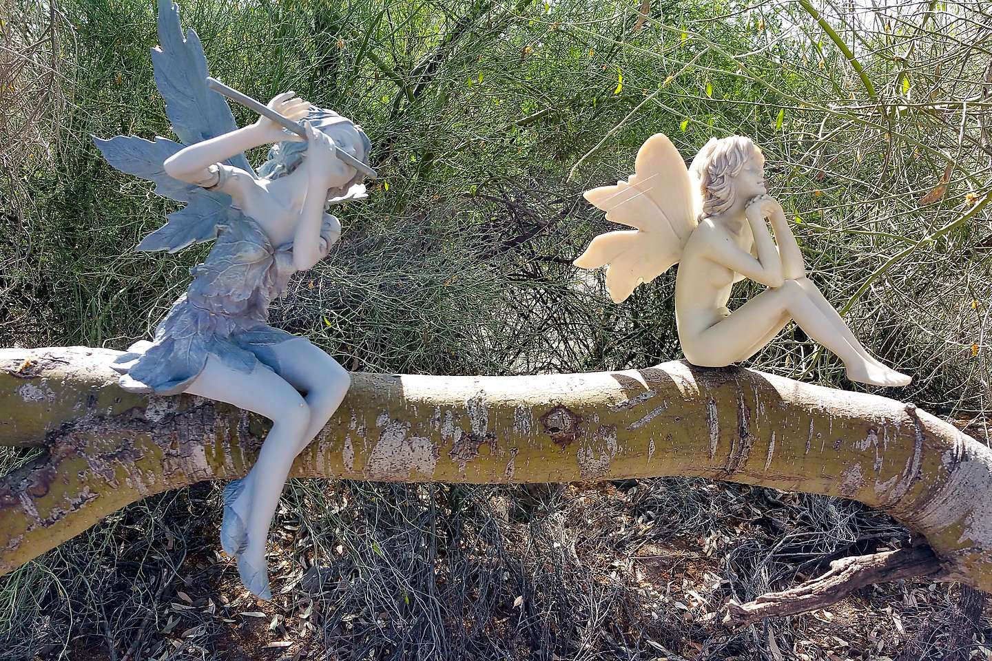 Nymphs in the Trees Nymphs in the Trees