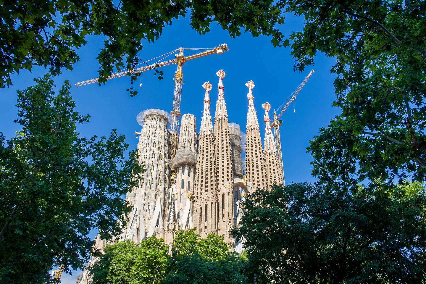 One last view of the Sagrada Familia