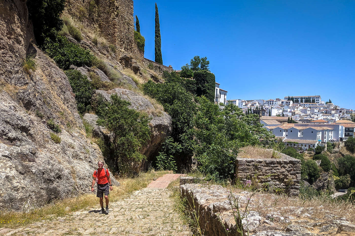 Herb wandering through Ronda's Old Town