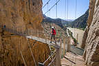 Lolo crossing over the windy suspension bridge