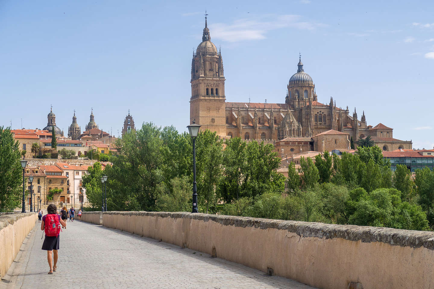 Lolo walking across the Roman Bridge towards the Salamanca Cathedral Lolo walking across the Roman Bridge towards the Salamanca Cathedral