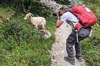 He took more pictures of that goat than me on this trip