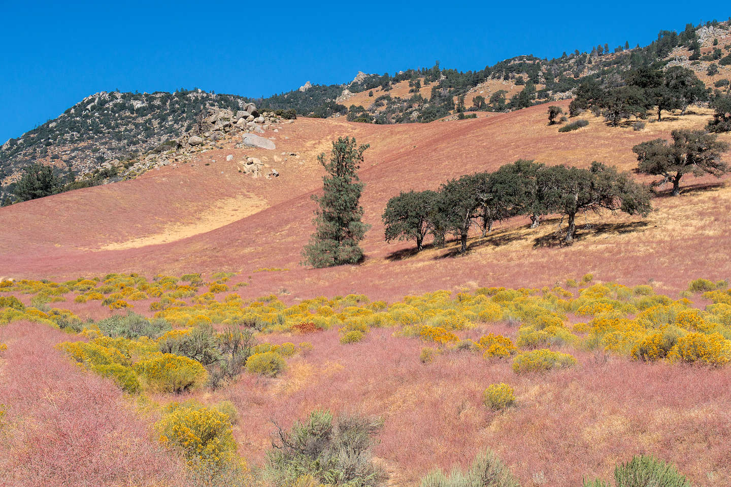 The lovely colors along Jawbone Canyon Road