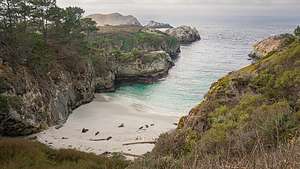 China Cove - Point Lobos Perimeter Trail