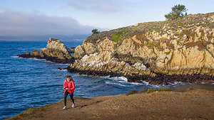 Along the Point Lobos Perimeter Trail