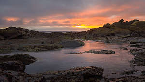Sunset Weston Beach - Point Lobos