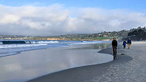 Herb strolling along Carmel Beach