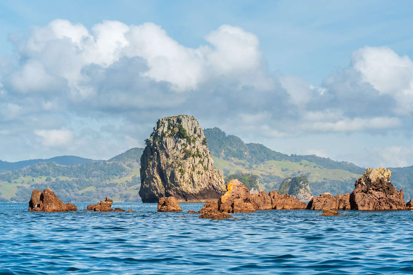 Te Whanganui-o-Hei Marine Reserve