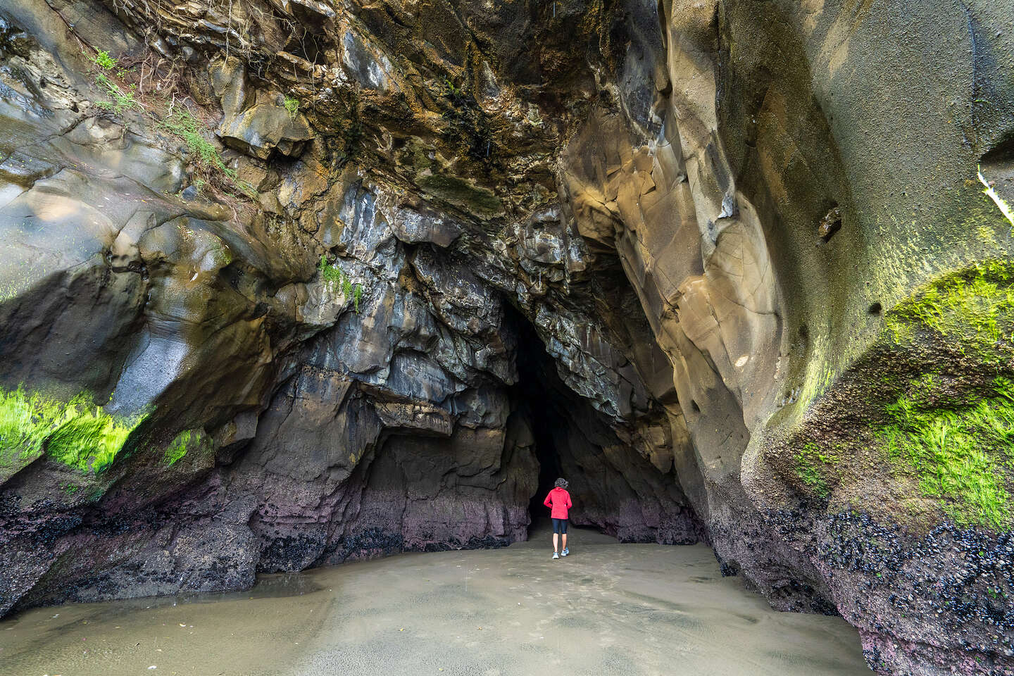 Muriwai Grotto