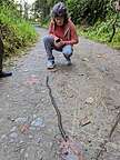 Giant Earthworm