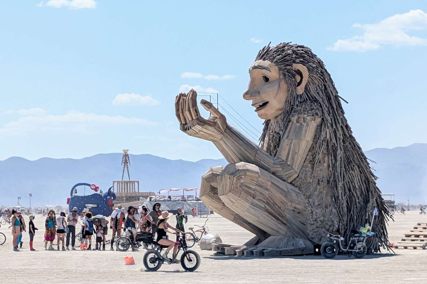 Rose Wonders Rose Wonders