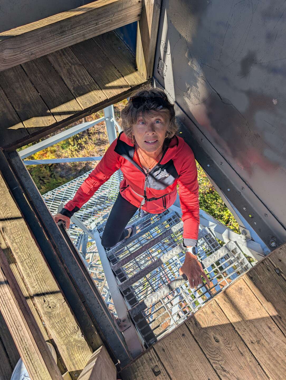 Climbint the Mr. Olga fire tower
