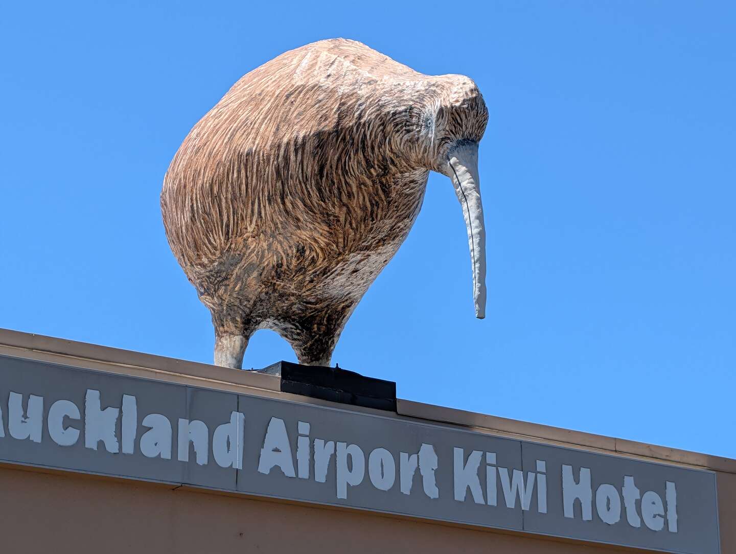 Land of the Kiwi