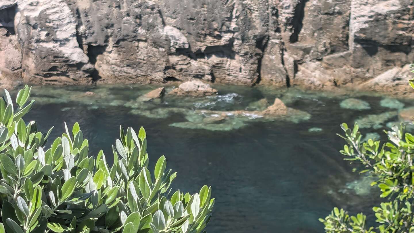 Hidden Cove