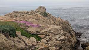 Spanish Bay Vista Point