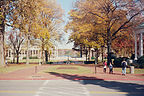 Walking at Annapolis