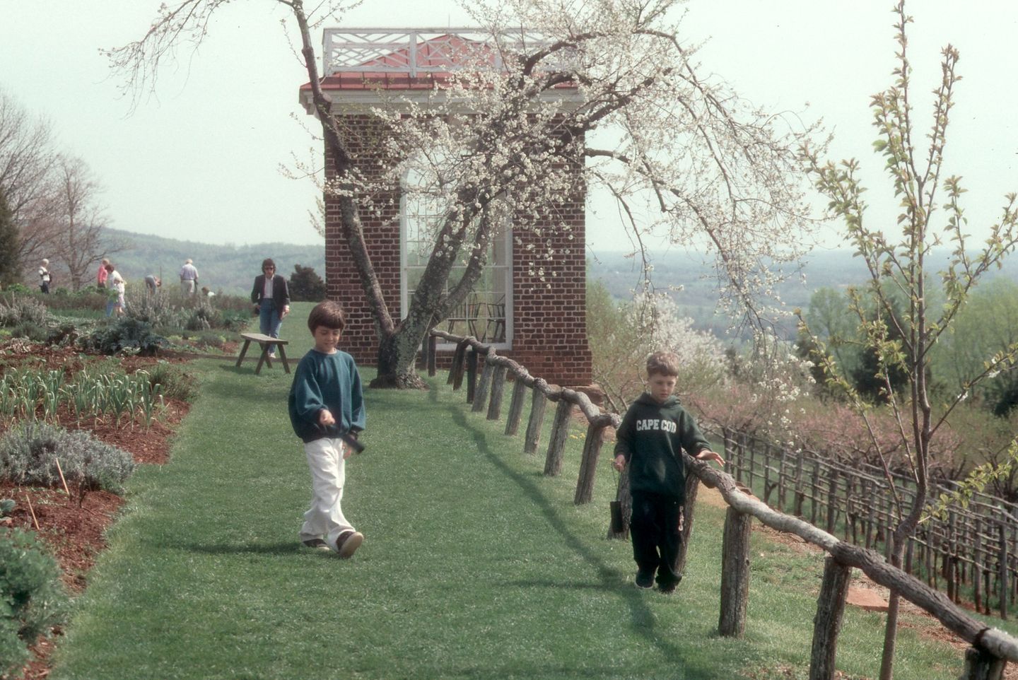 Boys wandering the garden Boys wandering the garden