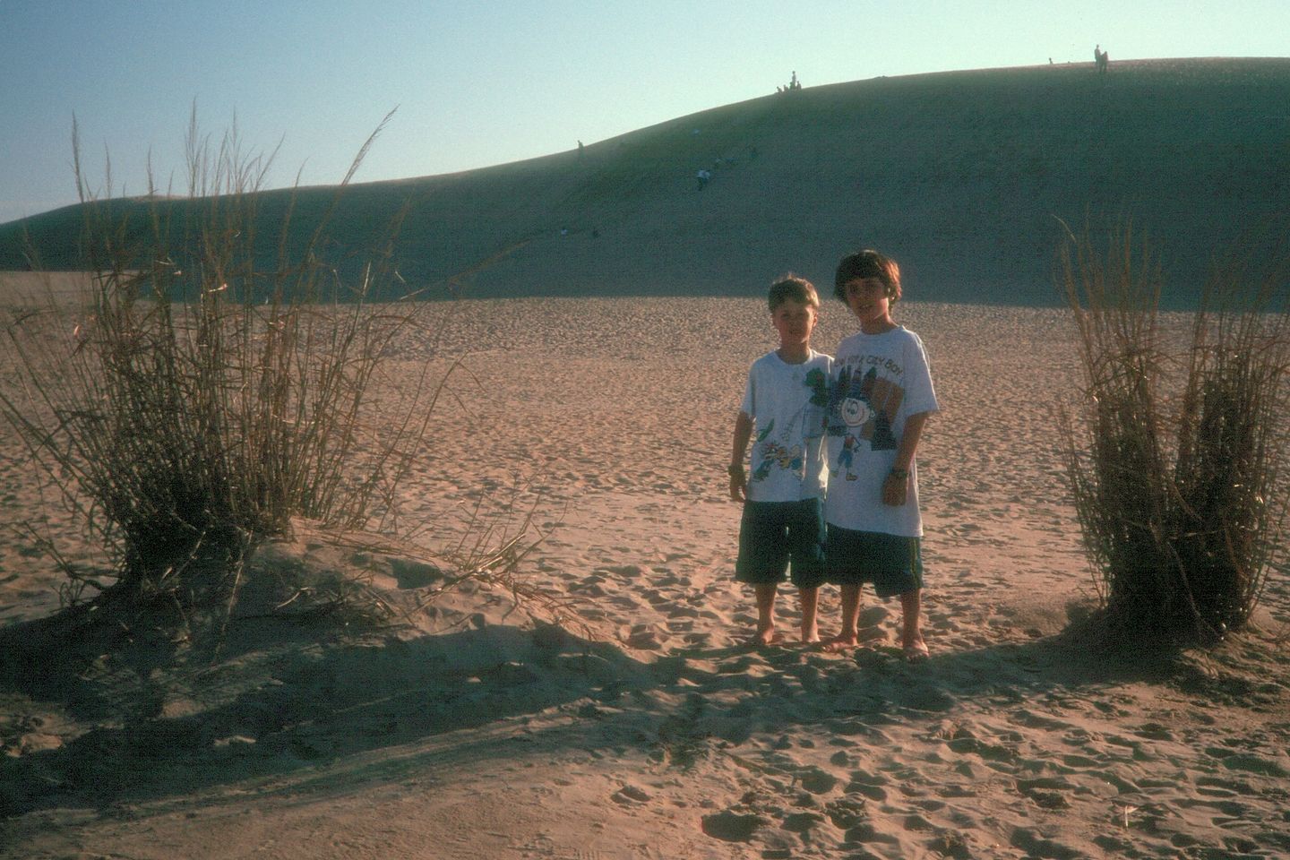 Boys after rolling down dunes Boys after rolling down dunes