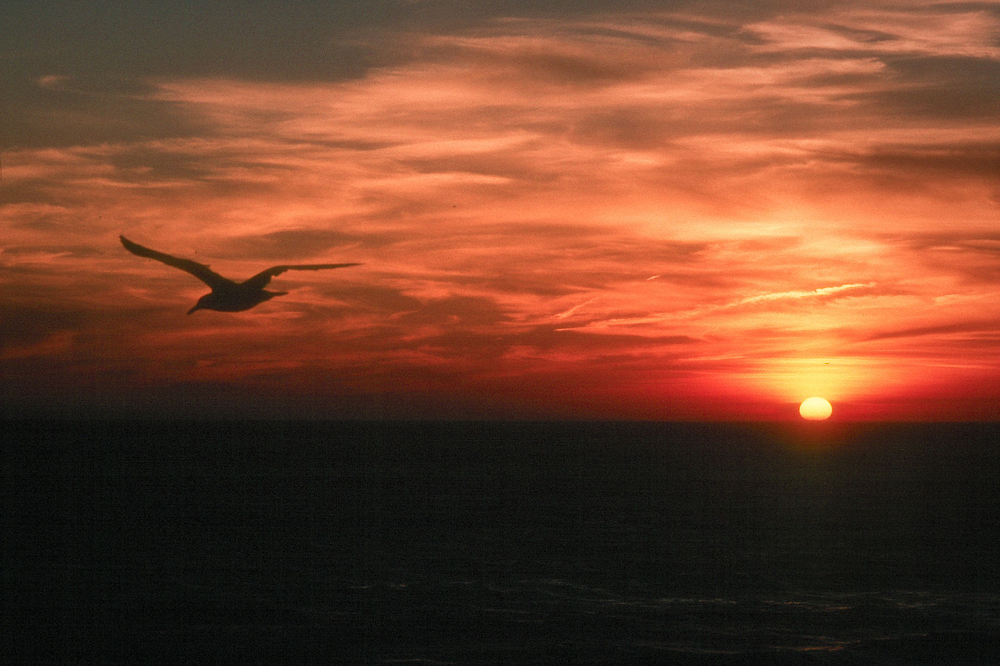 Sunset at Herring Cove Beach Sunset at Herring Cove Beach