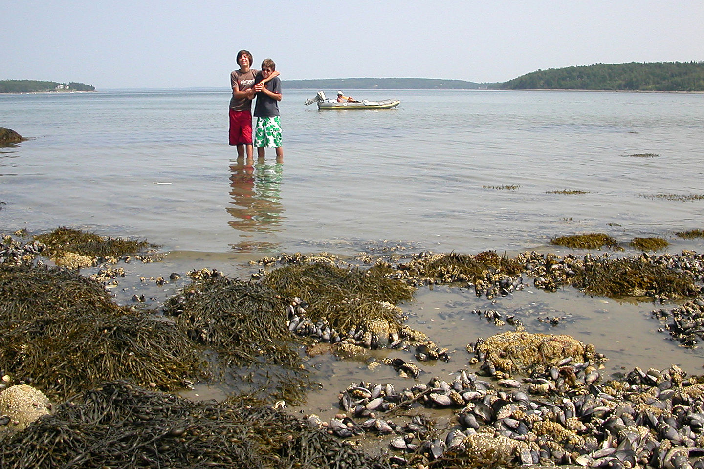 Brotherly love during Western Bay boat trip