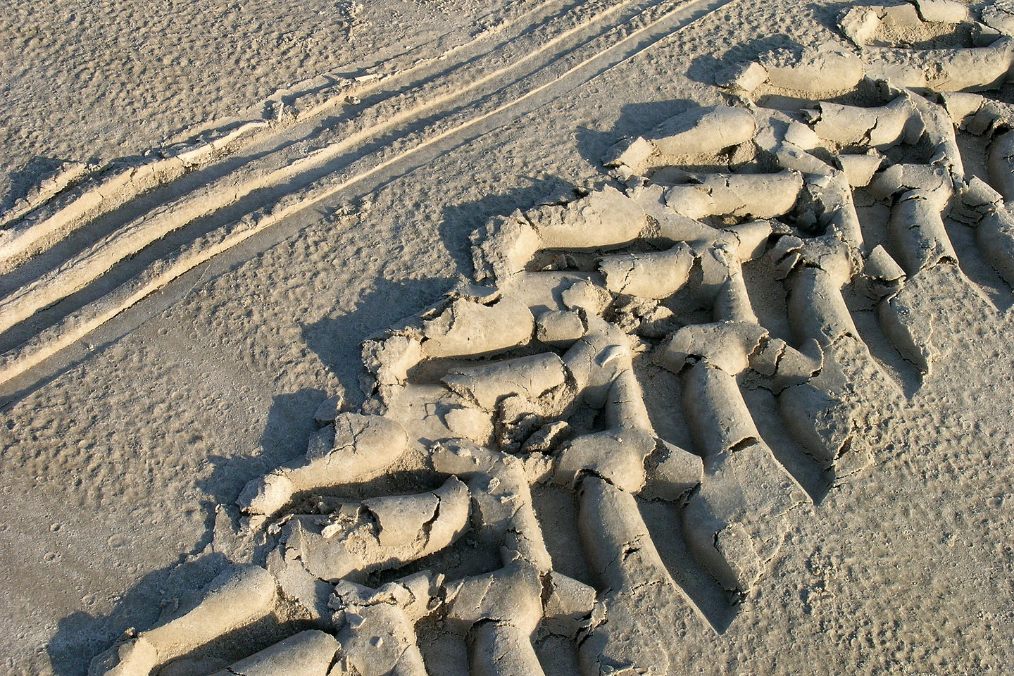 Tractor tracks for beachside camping Tractor tracks for beachside camping