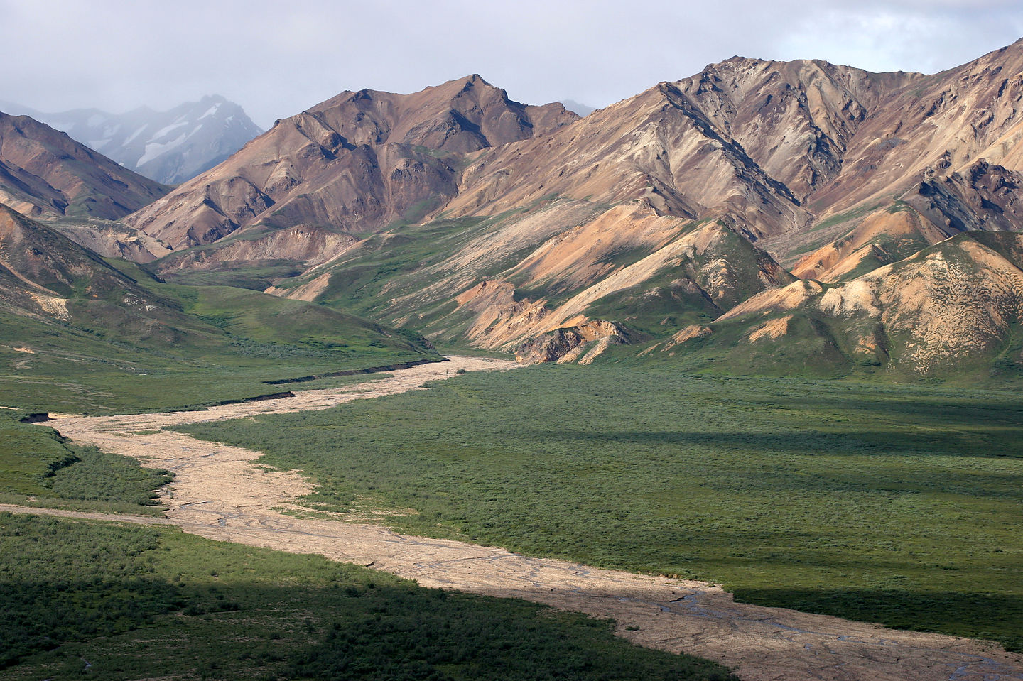 Denali tour mountains